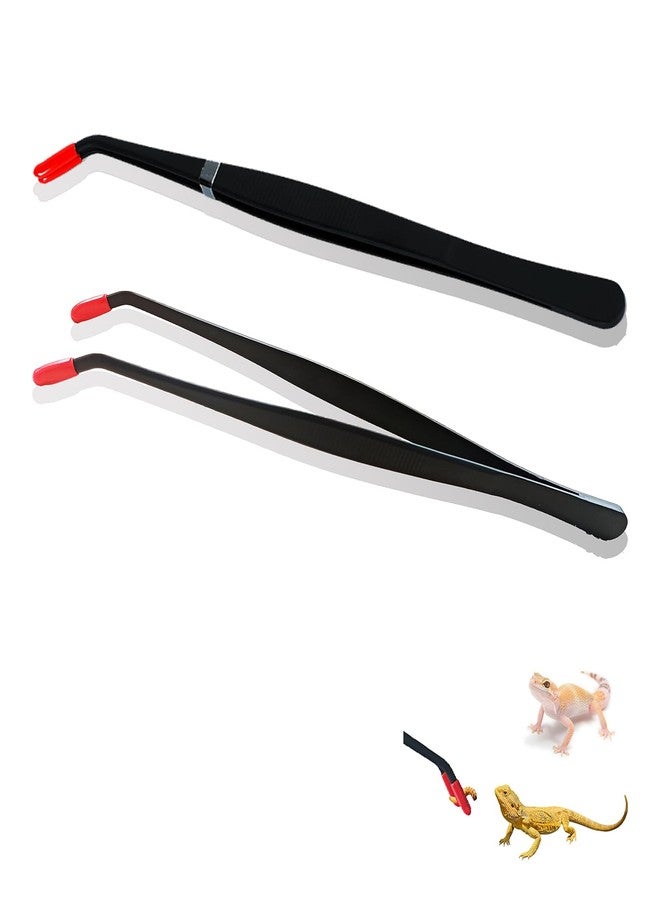 Repticircle 2 Pcs Reptile Feeding Tongs - Stainless Steel Aquarium Tweezers with Rubber Tips, Straight & Curved Long Handle for Bearded Dragons, Lizards, Snakes, Spiders & Terrarium Feeding - Image 1